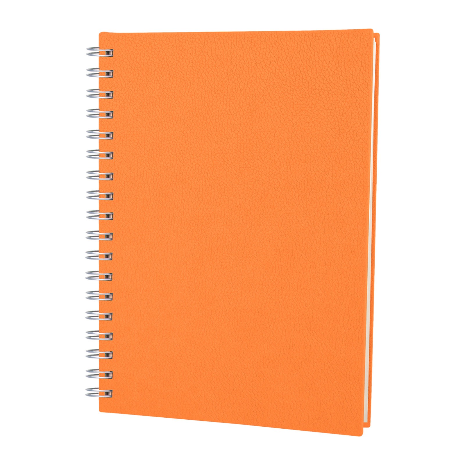 3013 ELMADAĞ YEŞİL TARİHLİ SPİRALLİ AJANDA (17X24 CM)